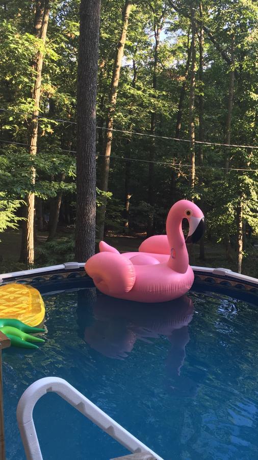 Pocono Cabin With Private Pool At Shawnee Mtn East Stroudsburg Exteriör bild