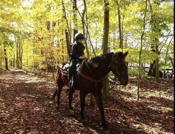Pocono Cabin With Private Pool At Shawnee Mtn East Stroudsburg Exteriör bild